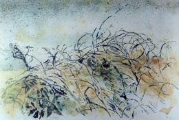 ARTHUR GIARDELLI limited edition (3/100) print of brambles, 15 x 22 ins (38 x 56 cms), initialled