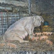 ALEX WILLIAMS oil on canvas - pigs and piglets in a barn, 24 x 24ins (61cms)