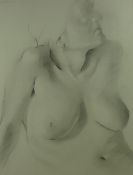 ED POVEY graphite on paper - half length nude lady, entitled label verso 'Woman', dated February