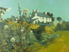 AUDREY HIND oil on board - Anglesey farmstead with flowers in the foreground, signed and entitled