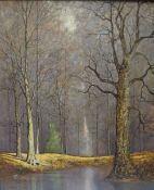 DAVID MEAD oil on board - woodland scene entitled verso 'near Arundel' signed, 60 x 49cms
