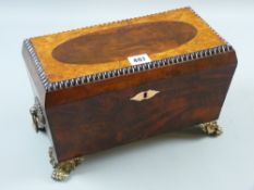 A Regency mahogany tea caddy with gilt metal ring carrying handles and hairy paw corner feet, the