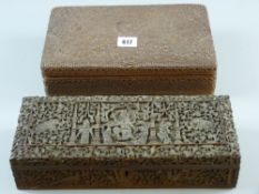Two carved hardwood Indian boxes with hinged lids, both heavily carved, one with carved lid panel of
