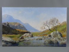 PHILLIP STANTON oil on canvas, unframed - Ogwen Valley river scene with sheep grazing on the bank,