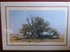 David Shepherd Limited Edition Print No. 1155/1500, depicting 