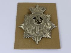 A Derbyshire Rifle Volunteers officer's helmet plate circa 1881 - 1900.