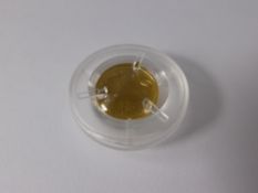 A Fabula Aurum  24 ct Gold Half Crown, depicting the Springbok in the original box.