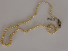 Natural Saltwater Yellow Pearl Necklace, the single strand graduated pearl necklace secured by a