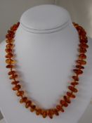 An Amber Bead Necklace, approx 37 cms, approx wt 13 gms.