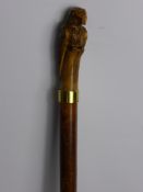 A Malacca Walking Cane with finial handle carved as a parrot with amber glass eyes and gold coloured