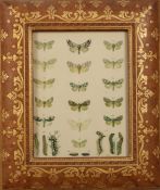 An embossed leather photograph frametogether with a 19th century pen and ink drawing of cattle by a