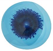 Studio of Venini  the two tone blue glass plate, with etched signature venini italia murano, 45