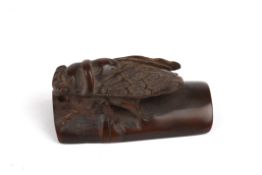 An early 20th century carved horn netsuke of a a Cicadarealistically modelled and seated upon a