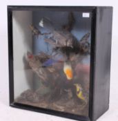 Taxidermy; A collection of exotic birds