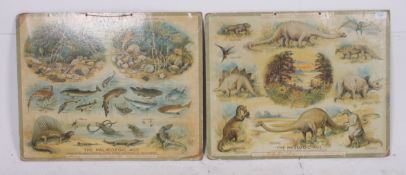 A pair of original 1950's school Dinosau