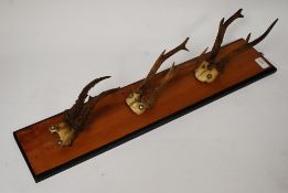 A 20th century vintage antler coat rack