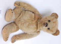 AN ANTIQUE c1900 believed Steiff teddy b