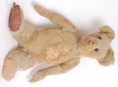 A rare circa 1904 / 1905 believed Steiff