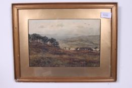 Edwin Charles Pascoe-Holman. 1866 - 1954