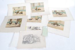 original hand illustrations many of a v