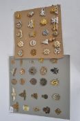 A large collection of cap badges (47 tot