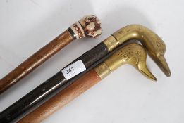 WALKING STICKS; A collection of three zo