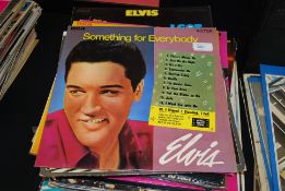 A good collection of Elvis vinyl record