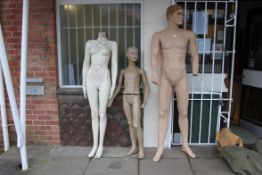TAILORS DUMMIES; A collection of three s