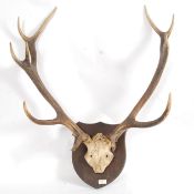 An early 20th century large mounted set