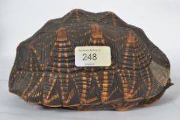 A rare 19th century tortoiseshell - taxi