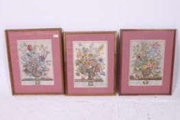 A collection of 3 framed and glazed bota
