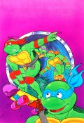 ORIGINAL TEENAGE MUTANT HERO TURTLES ART