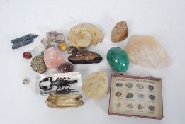 A collection of stone minerals, fossils,