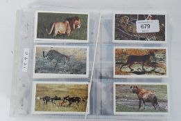 CIGARETTE CARDS / COLLECTORS CARDS;