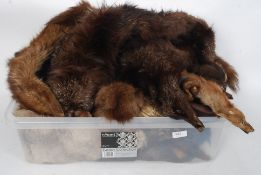 A large collection of vintage fur stole's,