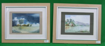 A pair of 20th century colourful waterco