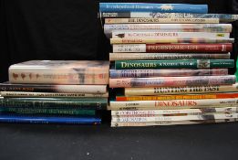 Various dinosaur and prehistoric life bo