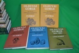 Egyptians and other ancient civilisation