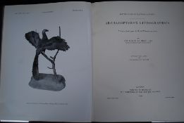 British Museum (Natural History), -Archa