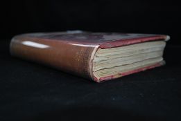 Prehistoric Times as illustrated by Anci