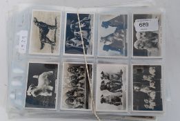 CIGARETTE CARDS / COLLECTORS CARDS; A co