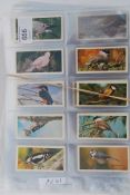 CIGARETTE CARDS / COLLECTORS CARDS; A co