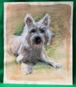 COOTE, MICHAEL; a sketch of a white scot