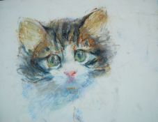 COOTE, MICHAEL; sketch of a kitten, colo
