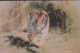 Pearman, Leonard; original retro print of a tiger by Leonard Pearman in a good original retro frame.