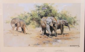 SHEPHERD, DAVID; Kilaguni Babies - original signed and limited edition print of elephants. 99/1000.