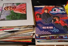 A collectoin of vinyl records  / LP's 80
