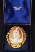 Large Cameo Brooch in a yellow meal setting with presentation box for Harvey and Gore Goldsmiths