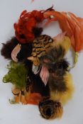 A collection of early 20th century feathers believed to be from Birds of Paradise,