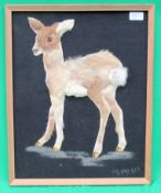 Deer with bead eye on canvas made from p